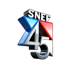SNEF 45 affiliation logo